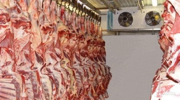 Морозильная камера для мяса -18°C В наличии